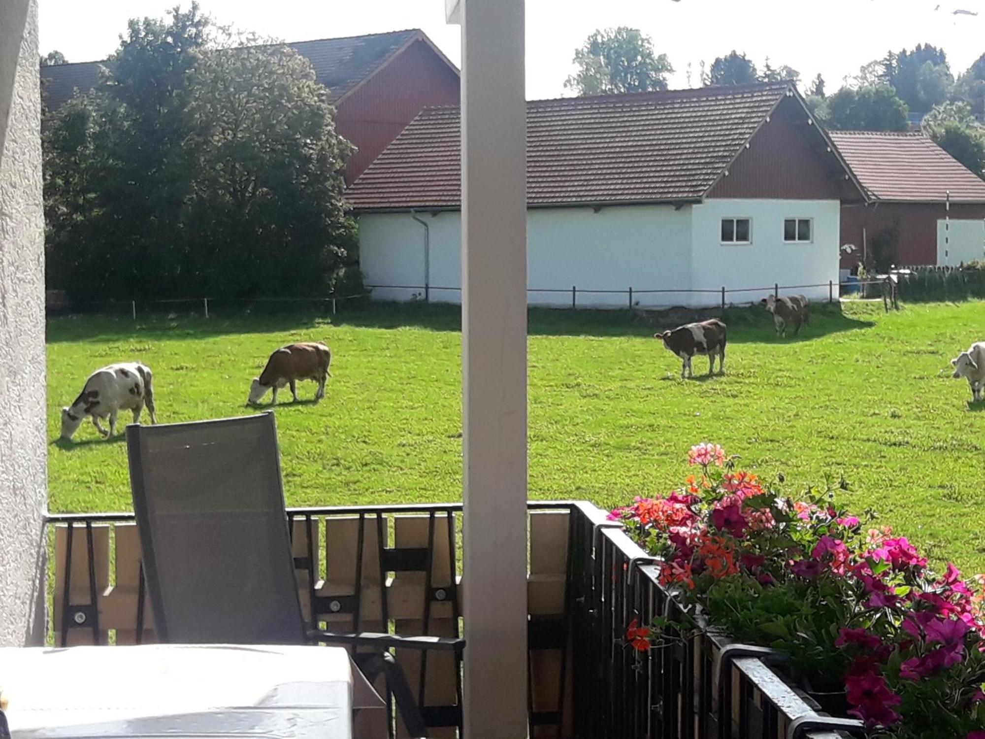 Gaestehaus Reisacher - Mehrbettzimmer ไพทิง ภายนอก รูปภาพ