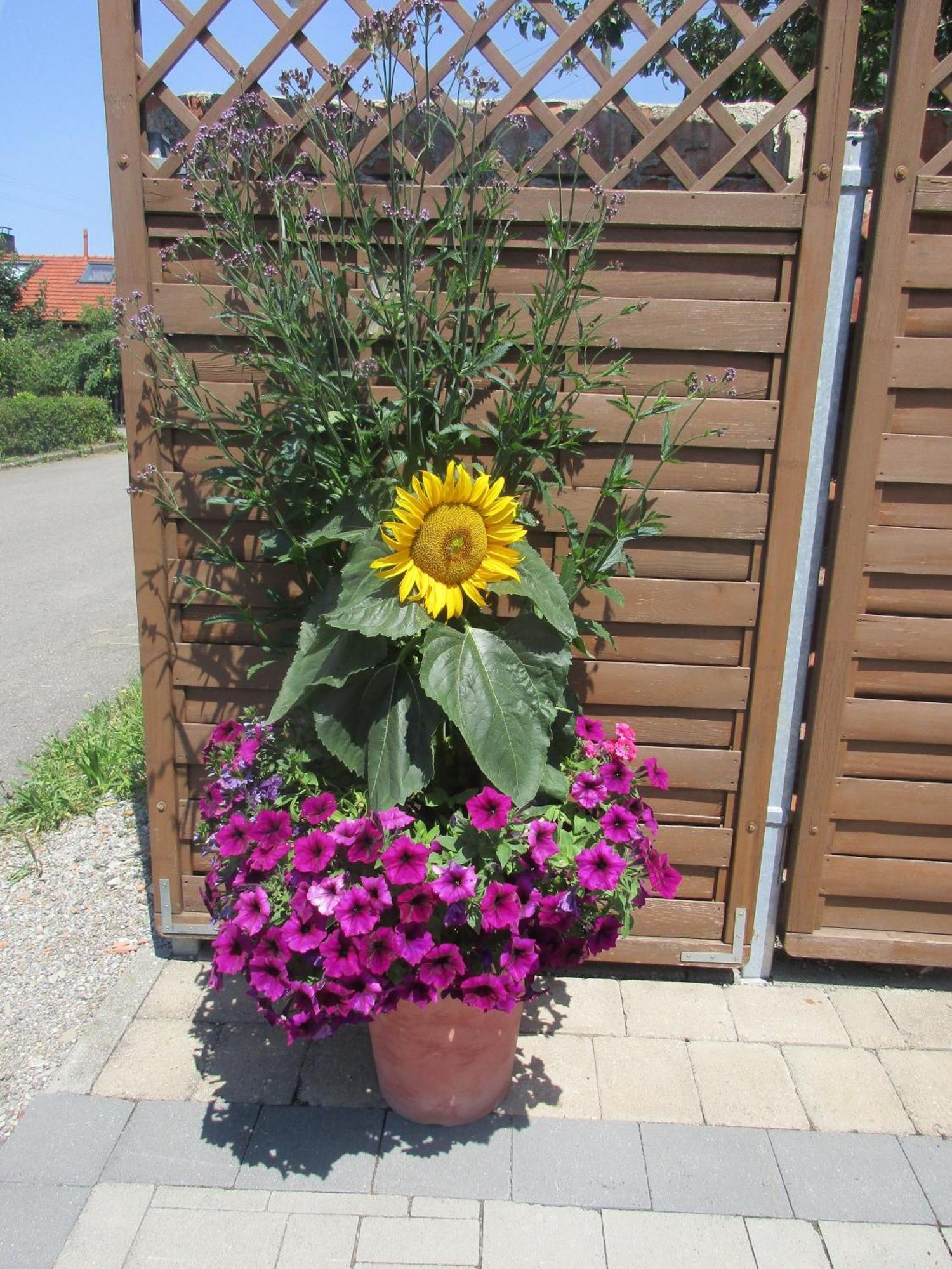 Gaestehaus Reisacher - Mehrbettzimmer ไพทิง ภายนอก รูปภาพ